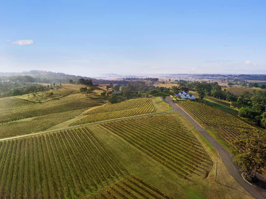 Pokolbin: Picnic & Wine Tasting at Audrey Wilkinson Vineyard - A Wine Master Class Led by a Friendly Host