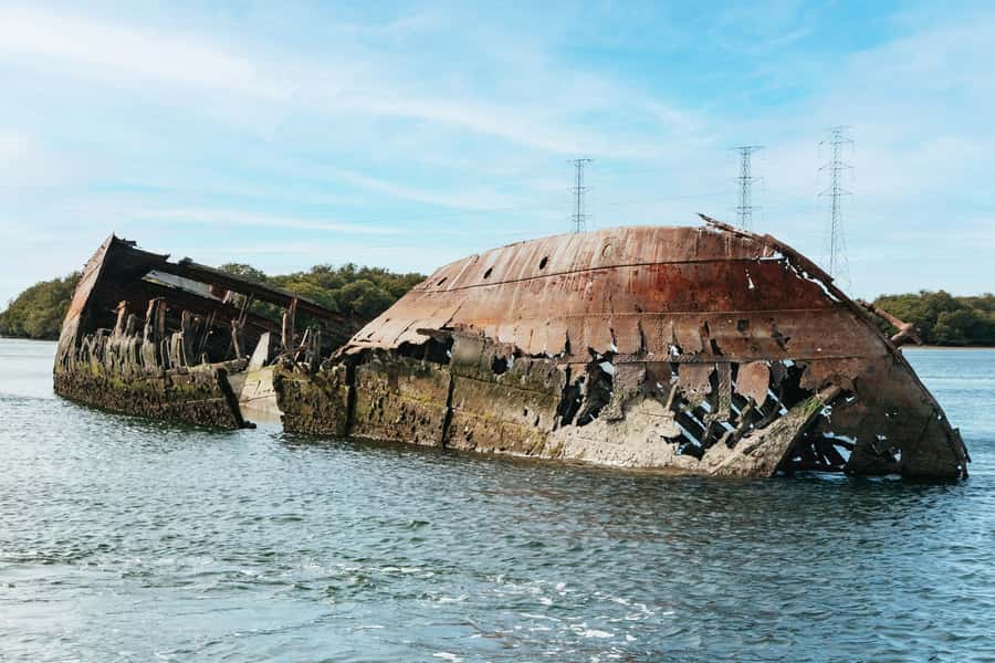 Port Adelaide: Dolphin and Ships Graveyard Cruise - What makes this Port Adelaide cruise worth your time