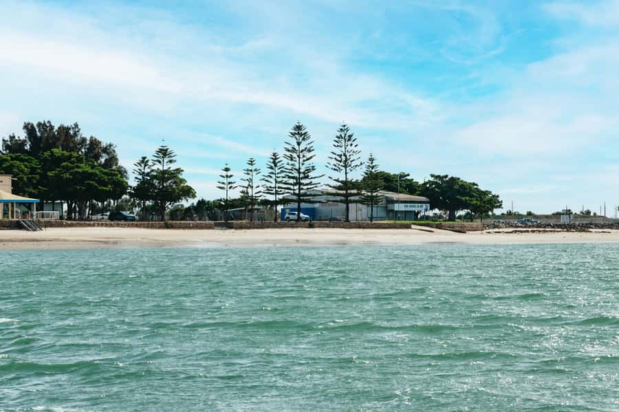 Port Adelaide: Dolphin and Ships Graveyard Cruise - What the guide adds to the ride