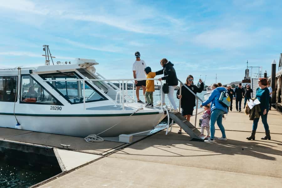 Port Adelaide: Dolphin and Ships Graveyard Cruise - Is $62 good value for 90 minutes?