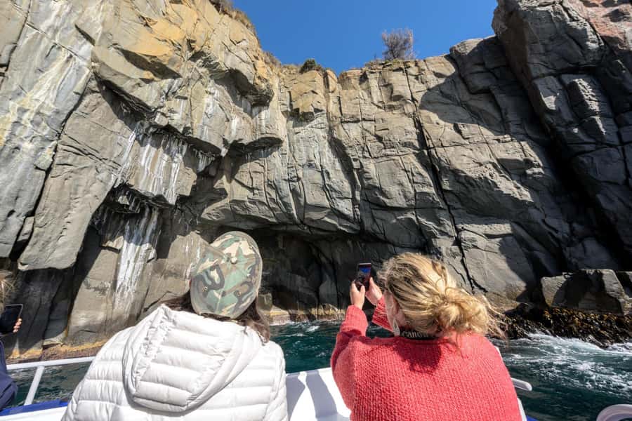 Port Arthur: Cape Raoul Wilderness Cruise - Key points to know before you go