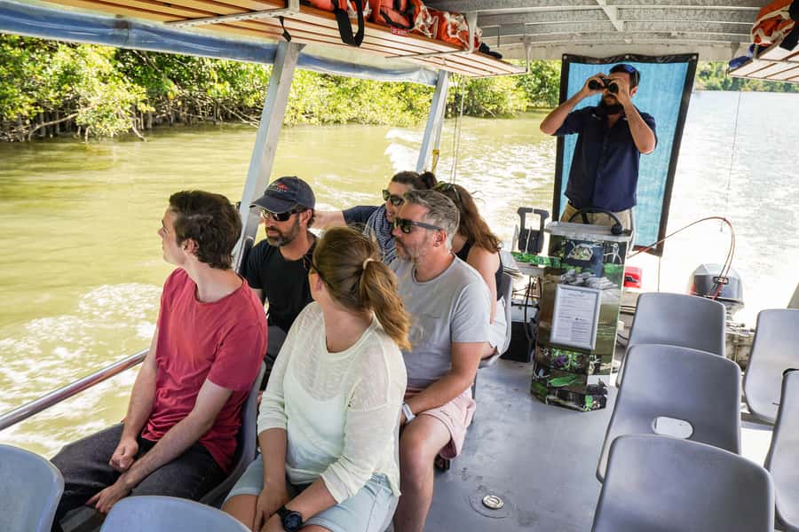 Port Douglas: Afternoon Daintree Tour w/ Wildlife Cruise - Key points to know before you book