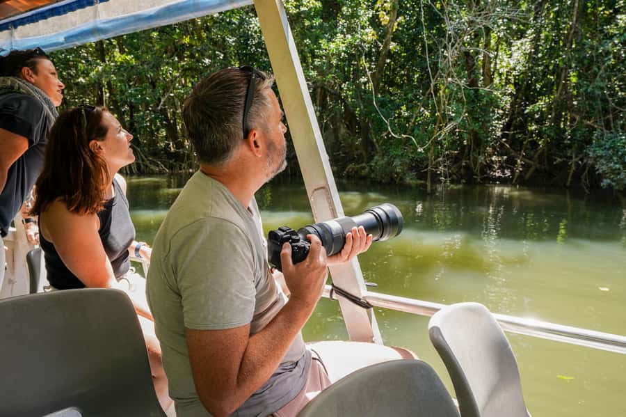 Port Douglas: Afternoon Daintree Tour w/ Wildlife Cruise - Mossman Gorge and the 500-metre rainforest walk