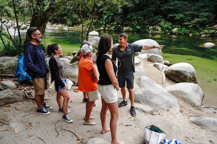 Port Douglas: Best of Daintree Rainforest Day Tour - Key Things To Know Before You Book