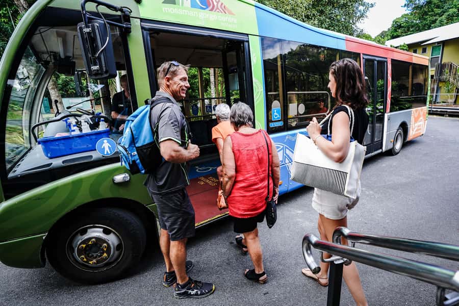 Port Douglas: Best of Daintree Rainforest Day Tour - Lunch at Heritage Lodge and a Swim in Cooper Creek