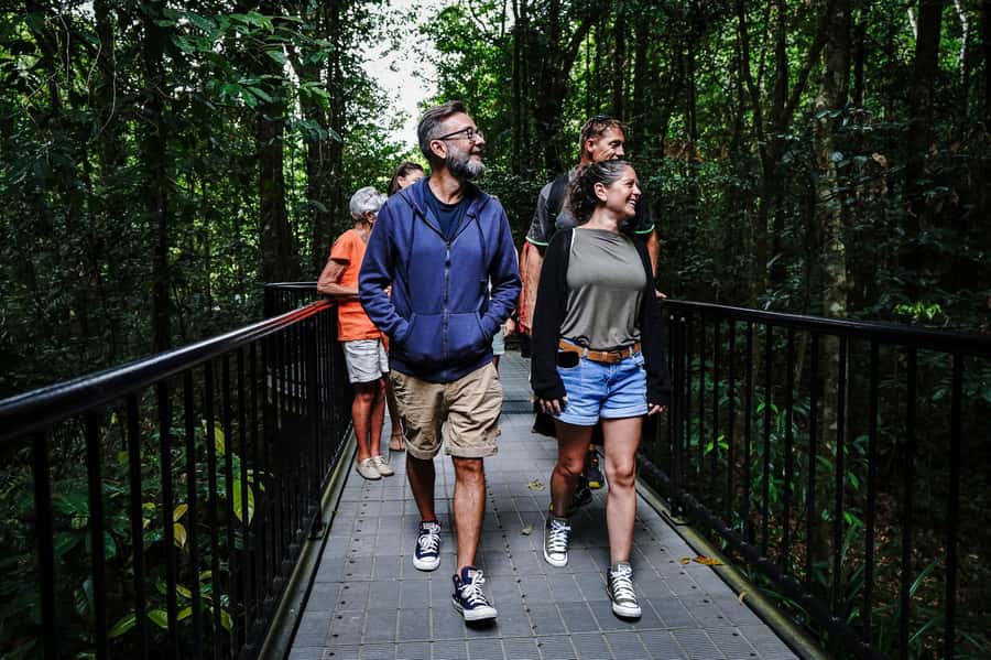 Port Douglas: Best of Daintree Rainforest Day Tour - Tropical Ice Cream and the Alexandra Lookout