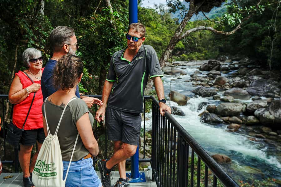 Port Douglas: Best of Daintree Rainforest Day Tour - Is $183 a Fair Price?