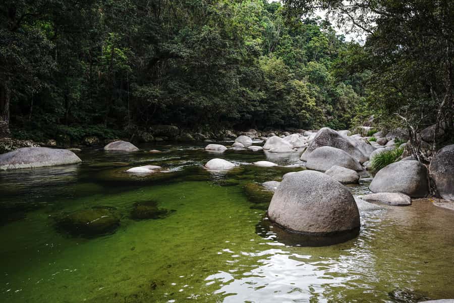 Port Douglas: Best of Daintree Rainforest Day Tour - Mossman Gorge: An Easy Start Among Ancient Trees