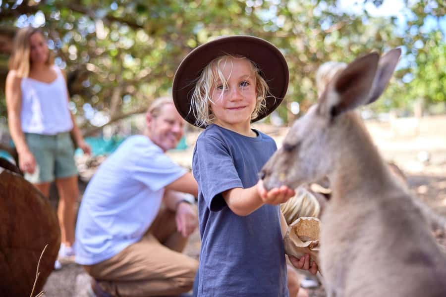 Port Douglas: Breakfast with the Birds - Key details before you book