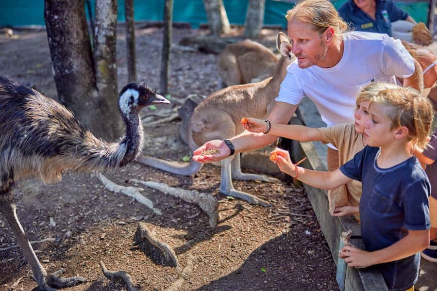 Port Douglas: Breakfast with the Birds - Arriving at Wildlife Habitat in Port Douglas