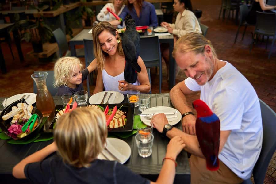 Port Douglas: Breakfast with the Birds - Timing, access, and simple planning tips