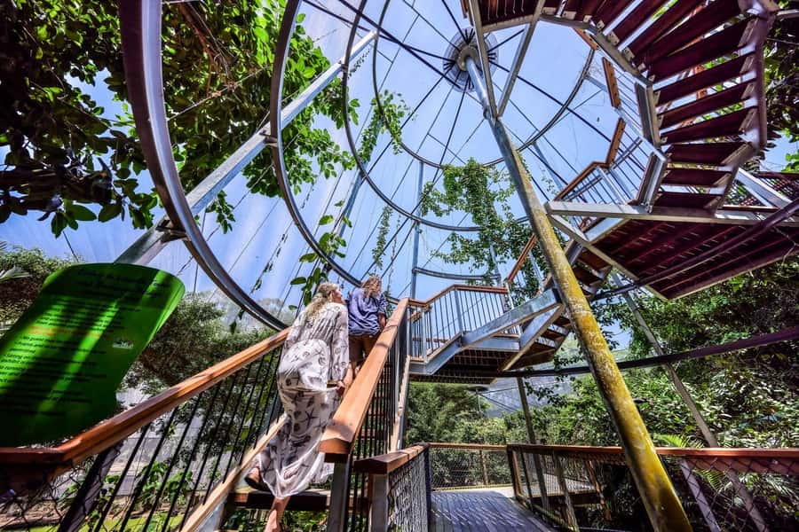 Port Douglas: Breakfast with the Birds - What breakfast is really like from 8 AM to 9 AM