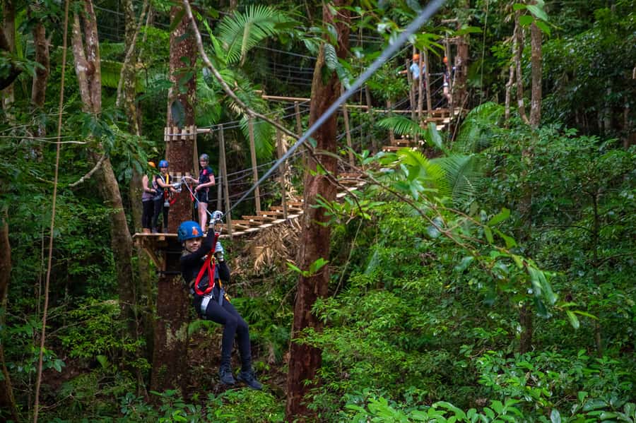 Port Douglas: Daintree National Park Tour, Cruise, & Zipline - Alexandra Lookout and the wide northern view