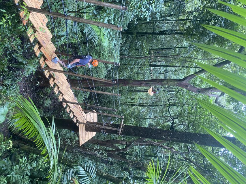 Port Douglas: Daintree National Park Tour, Cruise, & Zipline - Two hours above the rainforest floor