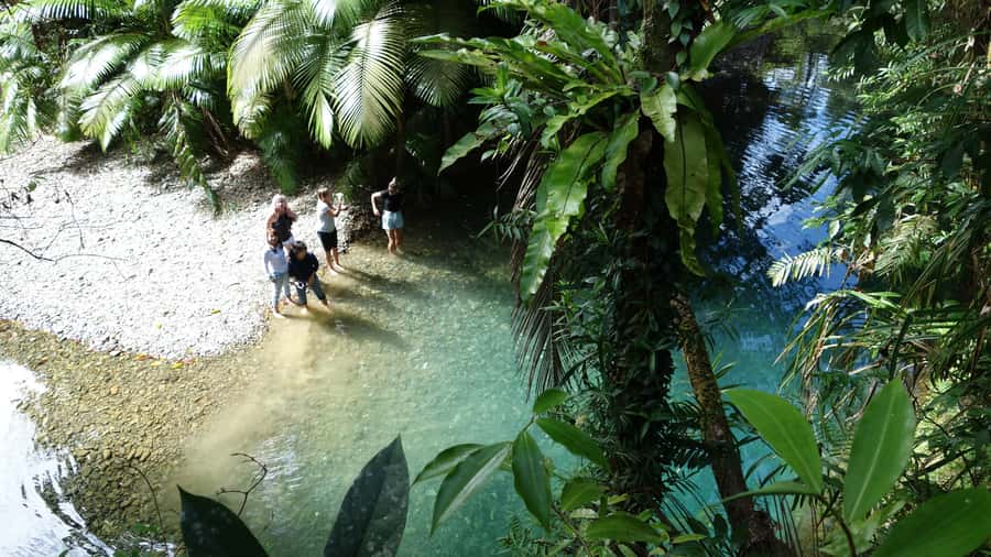 Port Douglas: Daintree Rainforest and Cape Tribulation Tour - Key points to know before booking