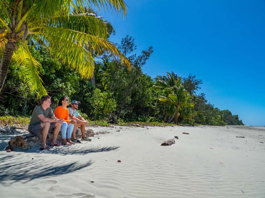 Port Douglas: Daintree Rainforest and Cape Tribulation Tour - Alexandra Lookout and the wide final view