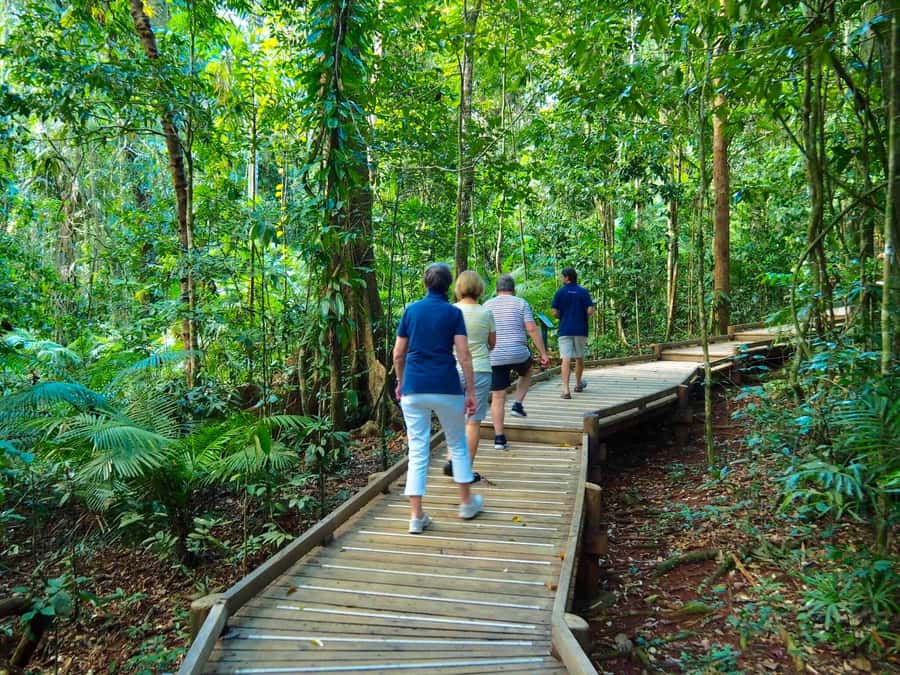 Port Douglas: Daintree Rainforest and Cape Tribulation Tour - The drive north from Port Douglas