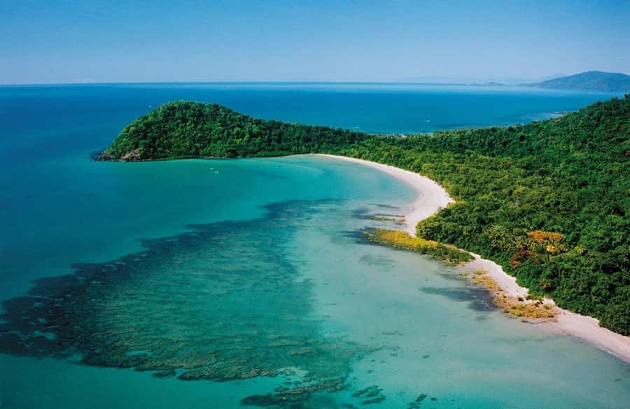 Port Douglas: Daintree Rainforest and Mossman Gorge Tour - Key details that shape the day