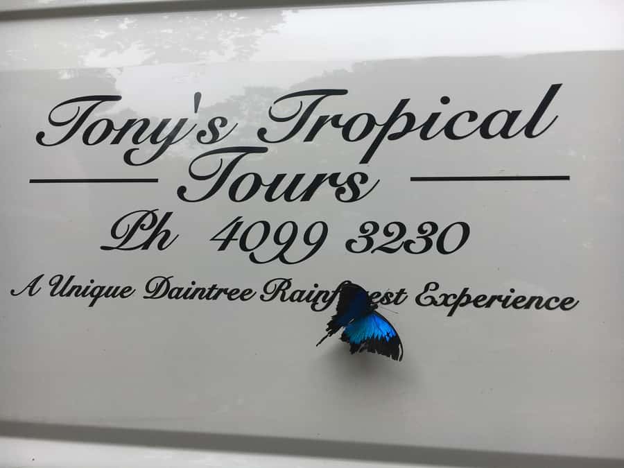Port Douglas: Daintree Rainforest and Mossman Gorge Tour - Noah Valley is the strongest part of the tour
