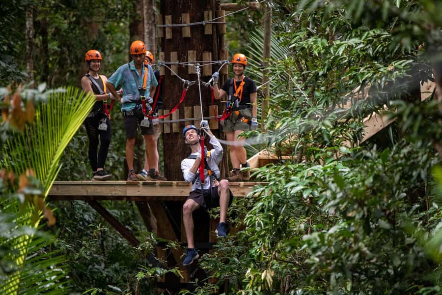 Port Douglas: Daintree Rainforest Canopy Ziplining Tour - Walking through the Daintree treetops