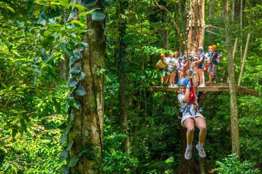 Port Douglas: Daintree Rainforest Canopy Ziplining Tour - Should you book the Daintree canopy zipline tour?