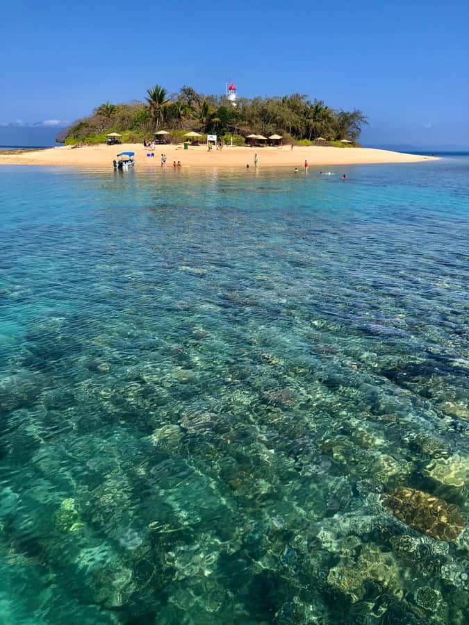Port Douglas: Half-Day Low Island and Lagoon Snorkeling Tour - Key points to know before you book