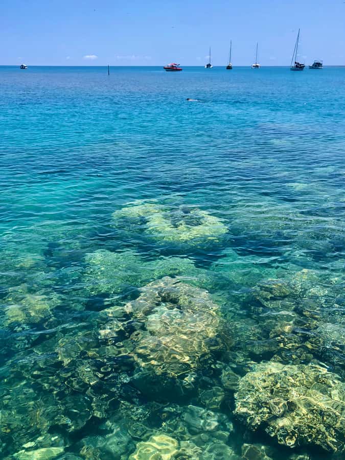 Port Douglas: Half-Day Low Island and Lagoon Snorkeling Tour - The 15-minute speedboat ride to Low Isles