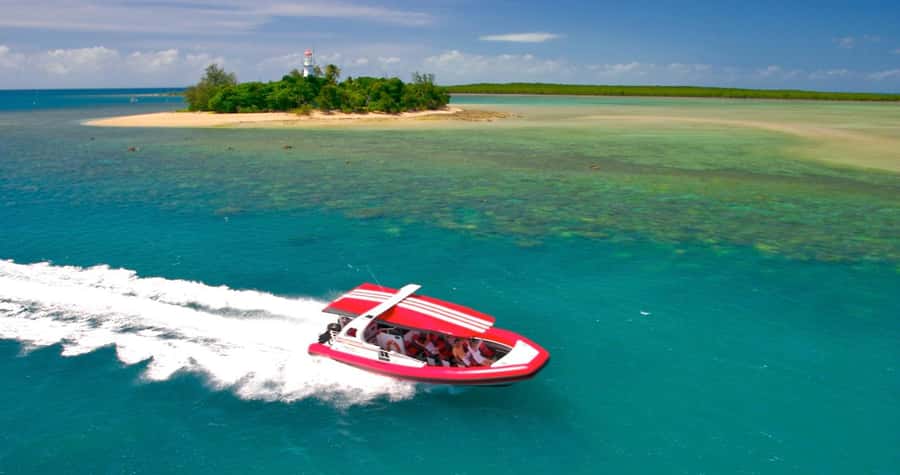 Port Douglas: Half-Day Low Island and Lagoon Snorkeling Tour - Meeting at Port Douglas Marina