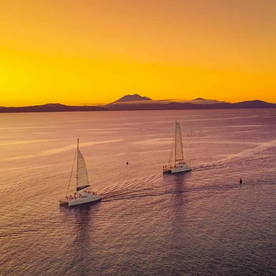 Port Douglas: Low Isles Afternoon Cruise on Luxury Catamaran - Service that makes the difference