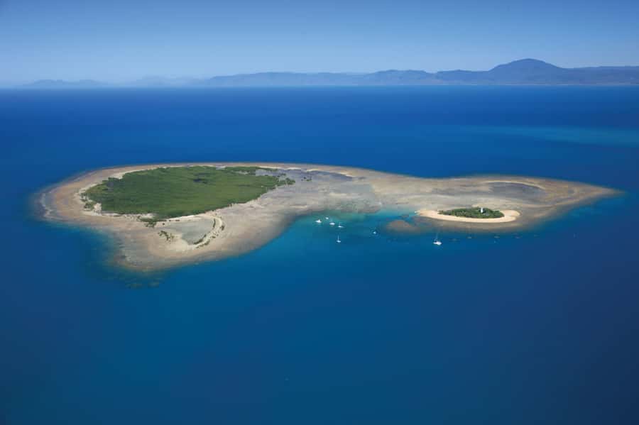 Port Douglas: Low Isles Afternoon Cruise on Luxury Catamaran - From Port Douglas to Low Isles by sail