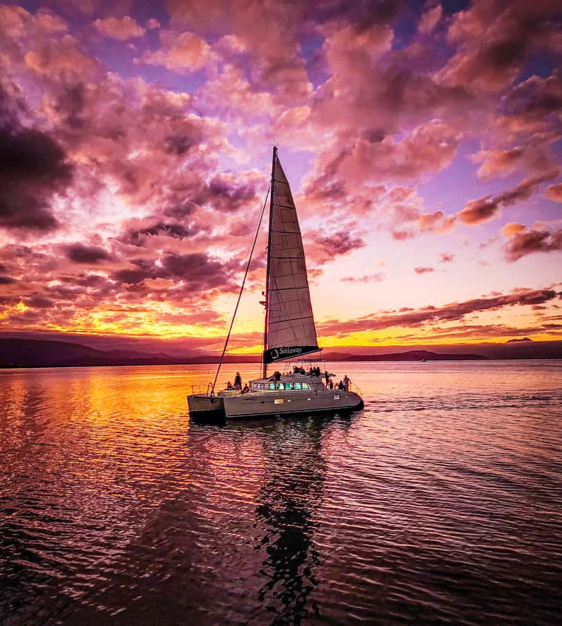 Port Douglas: Low Isles Afternoon Cruise on Luxury Catamaran - Is $240 good value?