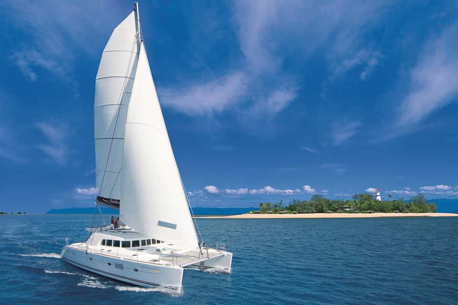 Port Douglas: Low Isles Afternoon Cruise on Luxury Catamaran - Three hours in Low Isles lagoon