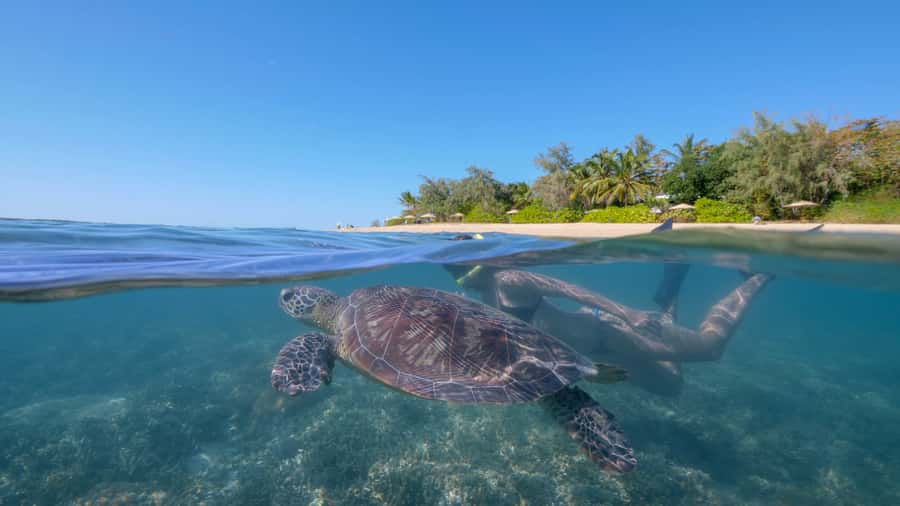 Port Douglas: Low Isles Glass Bottom Boat & Snorkeling Tour - Key points at a glance