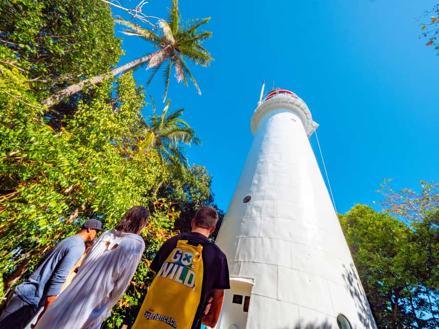 Port Douglas: Low Isles Glass Bottom Boat & Snorkeling Tour - The glass-bottom boat is useful for non-swimmers