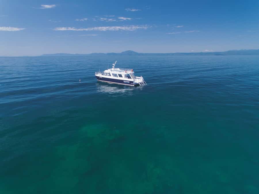 Port Douglas: Low Isles Glass Bottom Boat & Snorkeling Tour - Crew service is a major part of the value