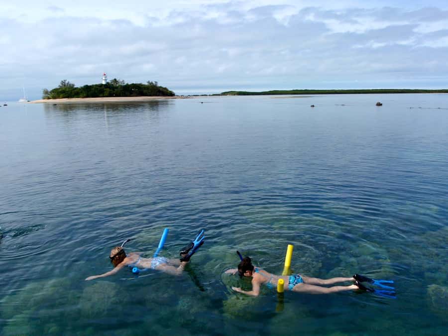 Port Douglas: Low Isles Reef Snorkeling Tour - What $134 includes, and where the value lies