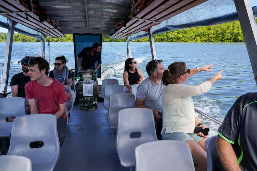 Port Douglas: Morning Daintree Tour w/ Wildlife Cruise - From Port Douglas Along the Captain Cook Highway