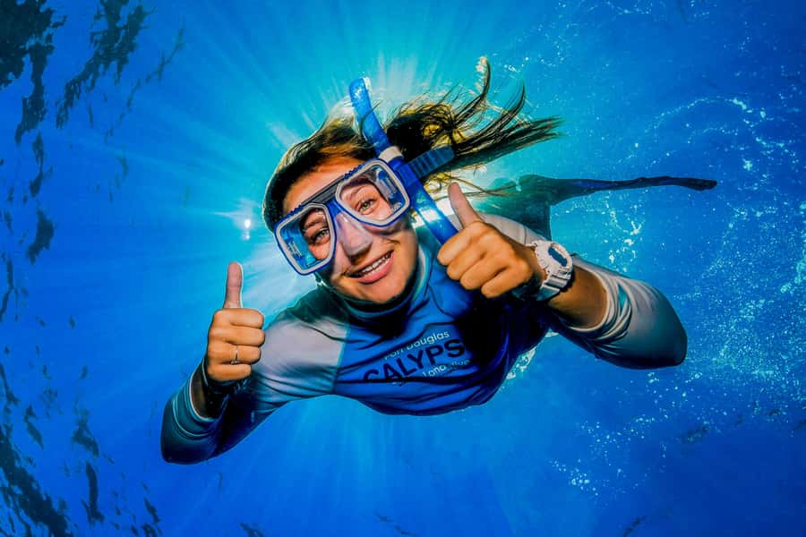 Port Douglas: Outer Barrier Reef Snorkel and Dive Options - The final 70-minute reef visit