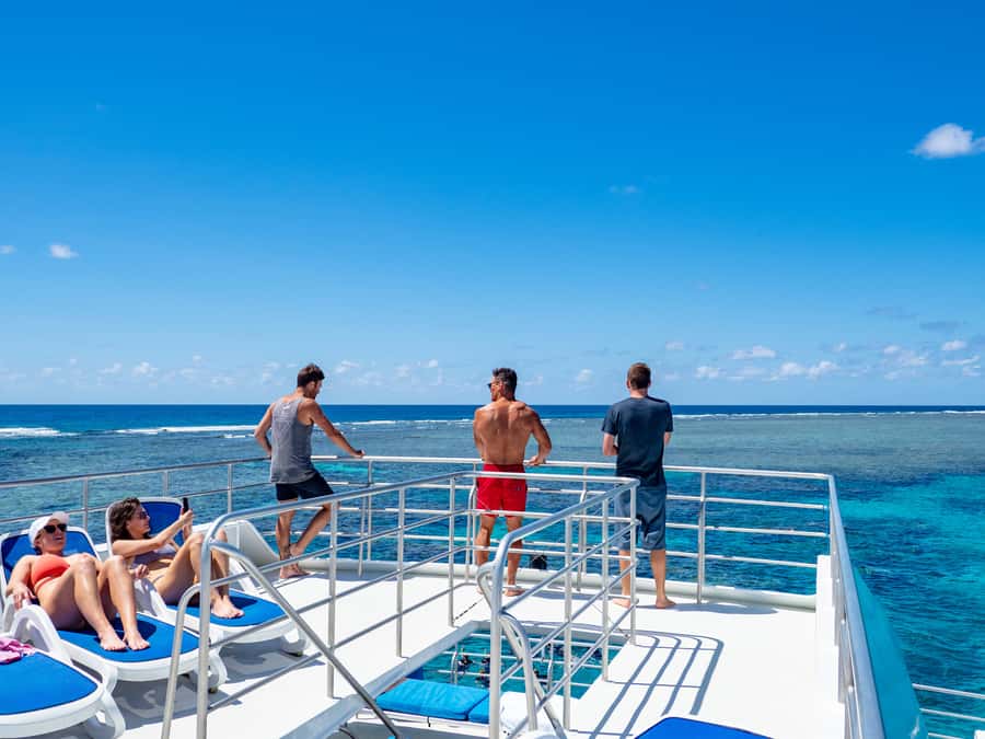 Port Douglas: Outer Barrier Reef Snorkel and Dive Options - Adding scuba to your day