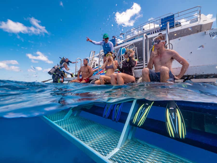Port Douglas: Outer Barrier Reef Snorkel and Dive Options - The crew, food, and comfort onboard