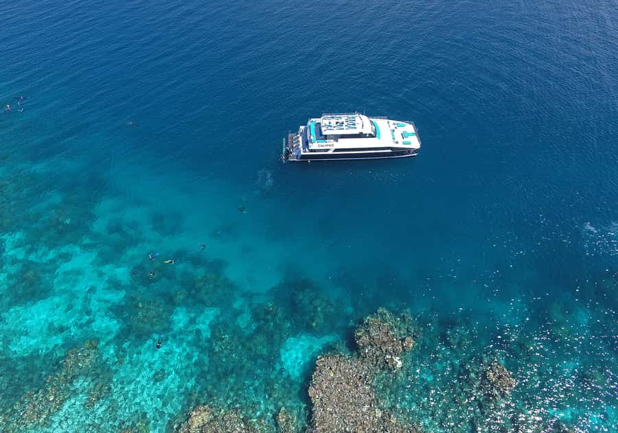 Port Douglas: Outer Barrier Reef Snorkel and Dive Options - Who should book this reef cruise?