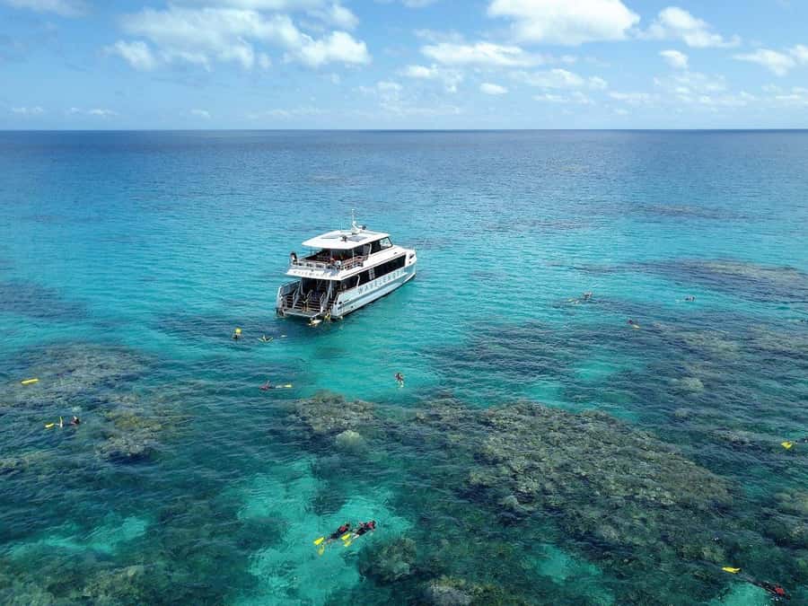 Port Douglas: Outer Great Barrier Reef Snorkeling Cruise - A second site after morning tea