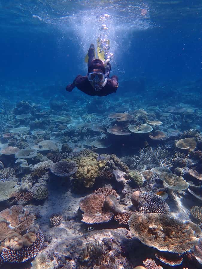 Port Douglas: Outer Great Barrier Reef Snorkeling Cruise - Lunch, reef science, and a sensible conservation message