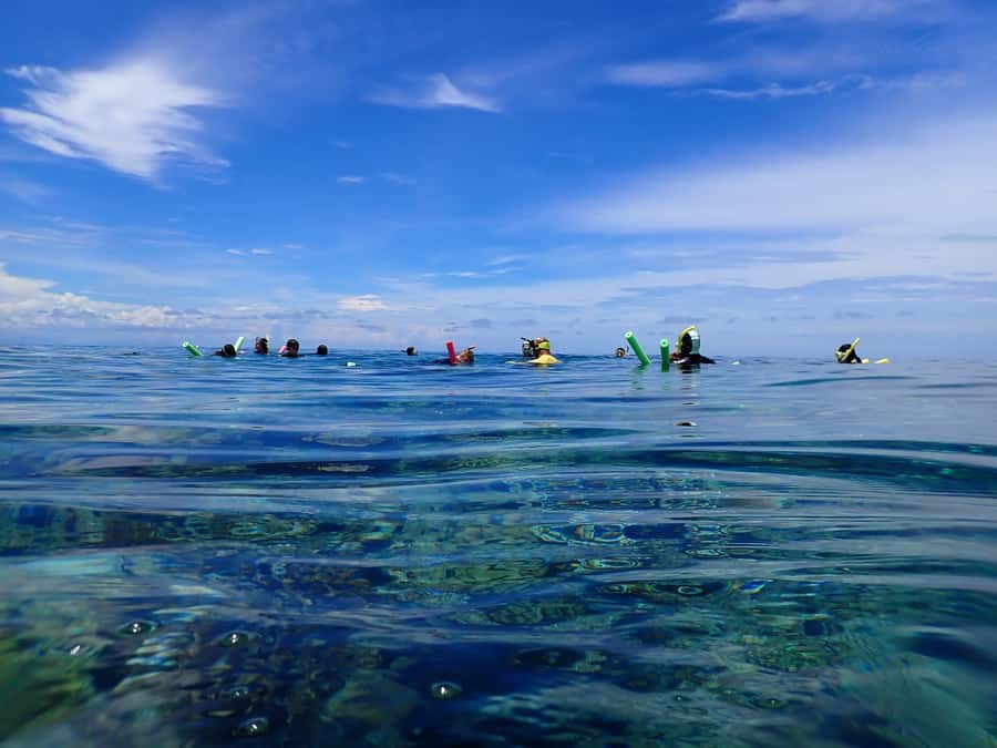 Port Douglas: Outer Great Barrier Reef Snorkeling Cruise - What the boat day feels like