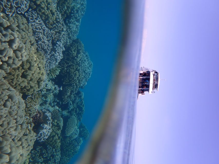 Port Douglas: Outer Great Barrier Reef Snorkeling Cruise - Is $210 a fair price?