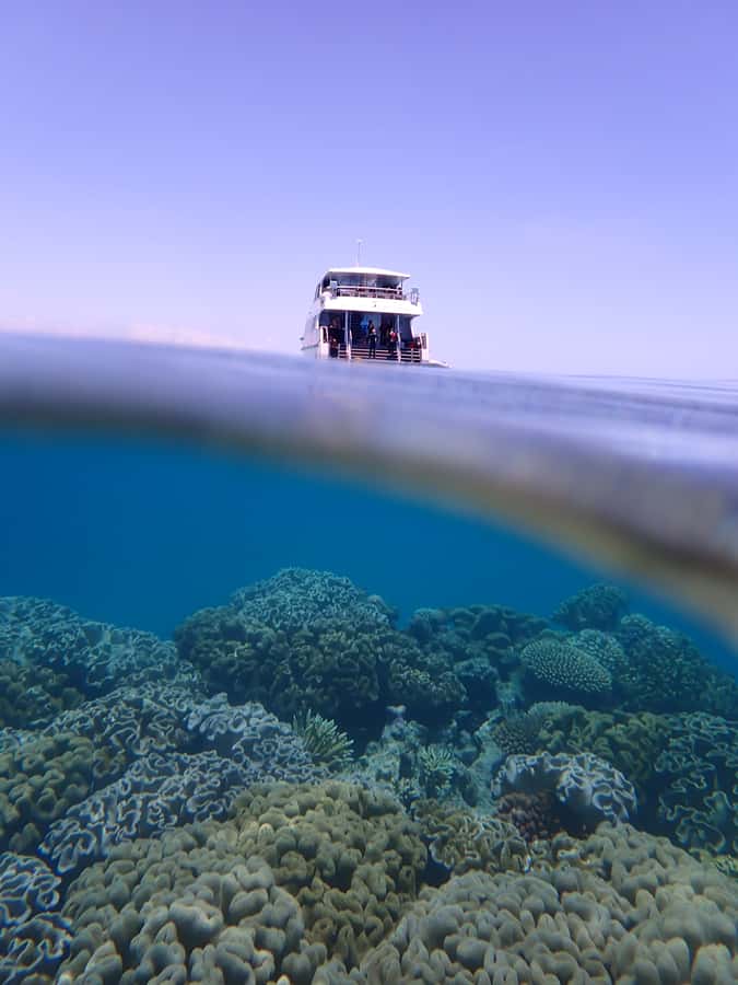 Port Douglas: Outer Great Barrier Reef Snorkeling Cruise - Who should book Wavelength?