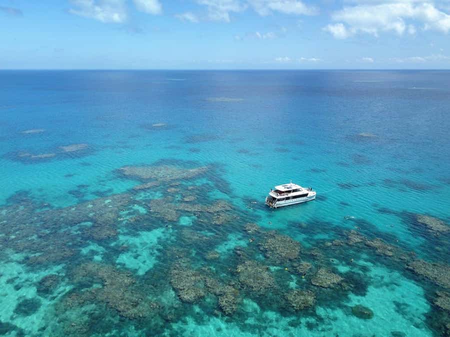 Port Douglas: Outer Great Barrier Reef Snorkeling Cruise - First contact with the Outer Great Barrier Reef
