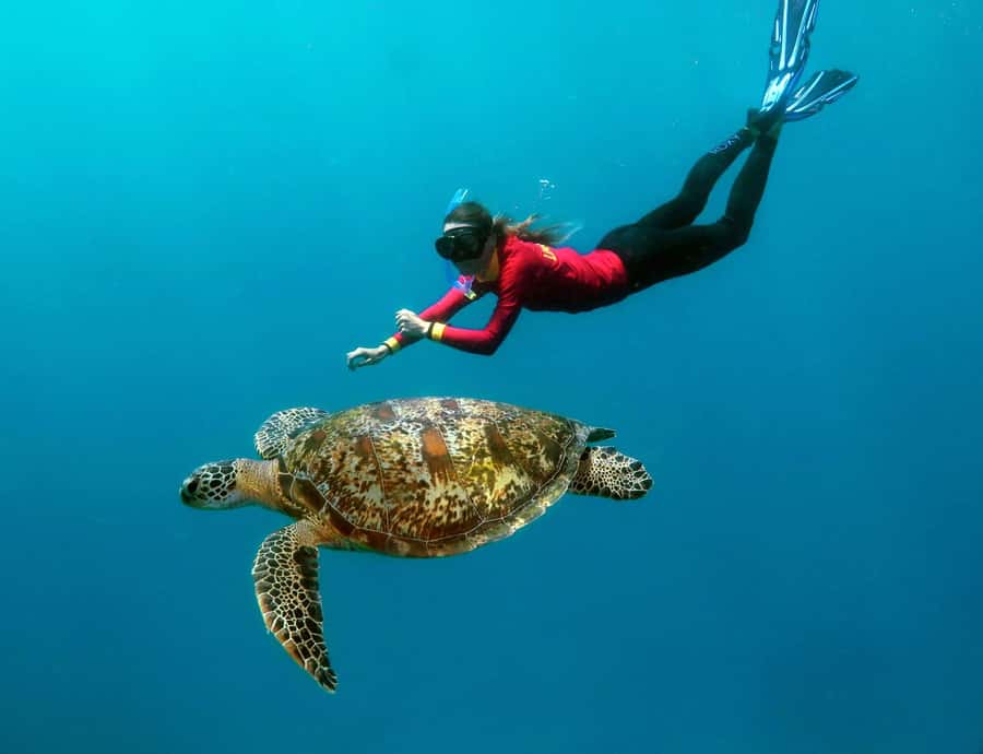 Port Douglas: Quicksilver Outer Barrier Reef Full-Day Cruise - Leaving Port Douglas on a wave-piercing catamaran