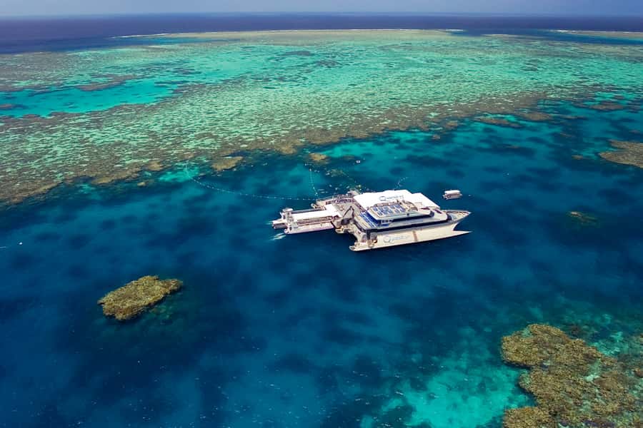 Port Douglas: Quicksilver Outer Barrier Reef Full-Day Cruise - Three and a half hours to choose your own reef day