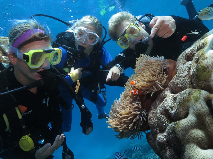 Port Douglas: Quicksilver Outer Barrier Reef Full-Day Cruise - Optional activities: what is worth the extra money?
